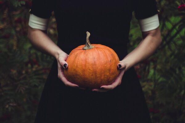 Pumpkin Sponsor